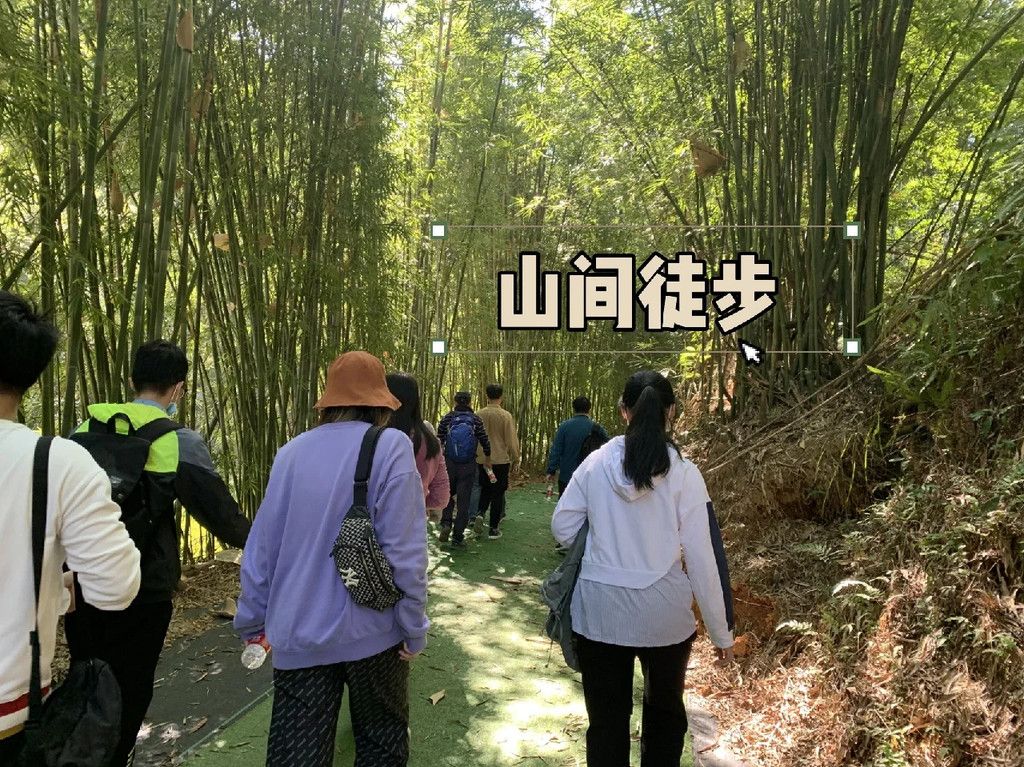 挑战者之旅，寻找刺激与欢笑