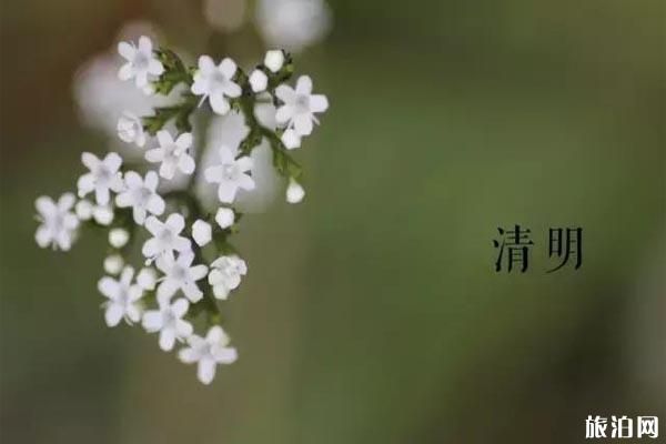 清明祭扫服务延期通知，天津已取消部分清明祭扫服务
