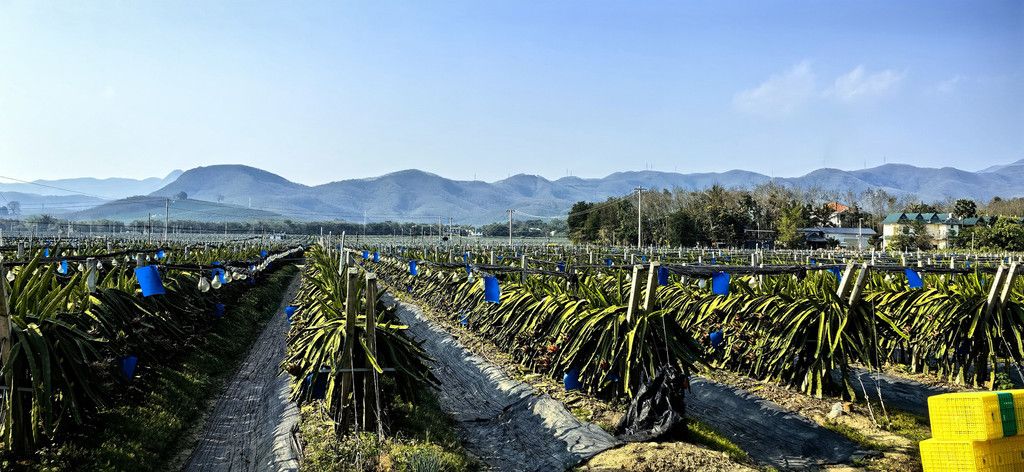 千年古韵傣家寨，掩藏在山野间的隐世田园