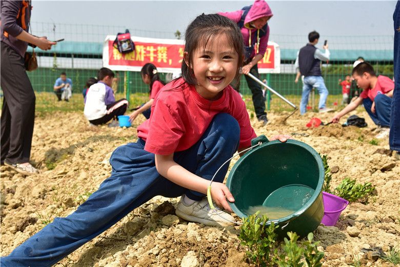 广州幸福田园犇牛牧场春季研学旅行，亲身体验春耕文化与农事实践