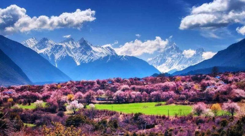 2018年林芝桃花节开始时间及门票信息查询