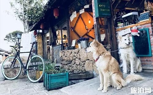 云南白沙旅游推荐，去哪里玩？有哪些值得一去的地方？