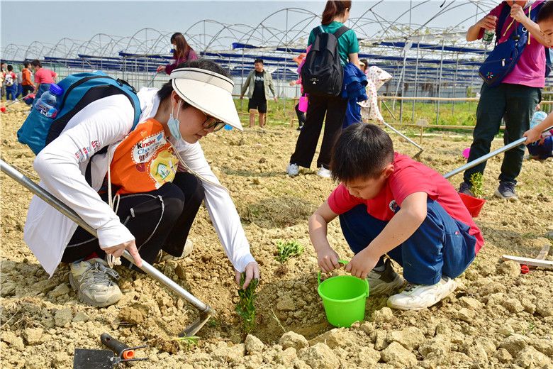 广州幸福田园犇牛牧场，培养孩子环保意识的首选地