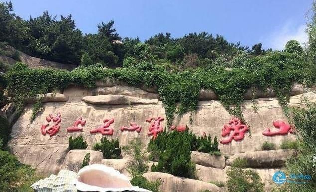 详细了解大青岛脸卡，含金量、用途与价值分析
