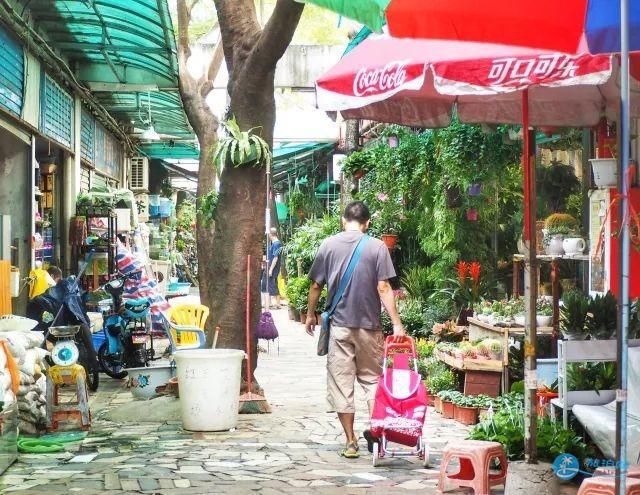 深圳福田花卉街市的步行指南