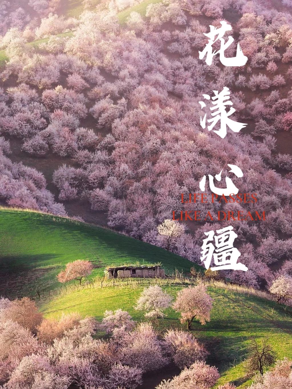 新疆深度游攻略，一起穿越千里，共享美景之旅