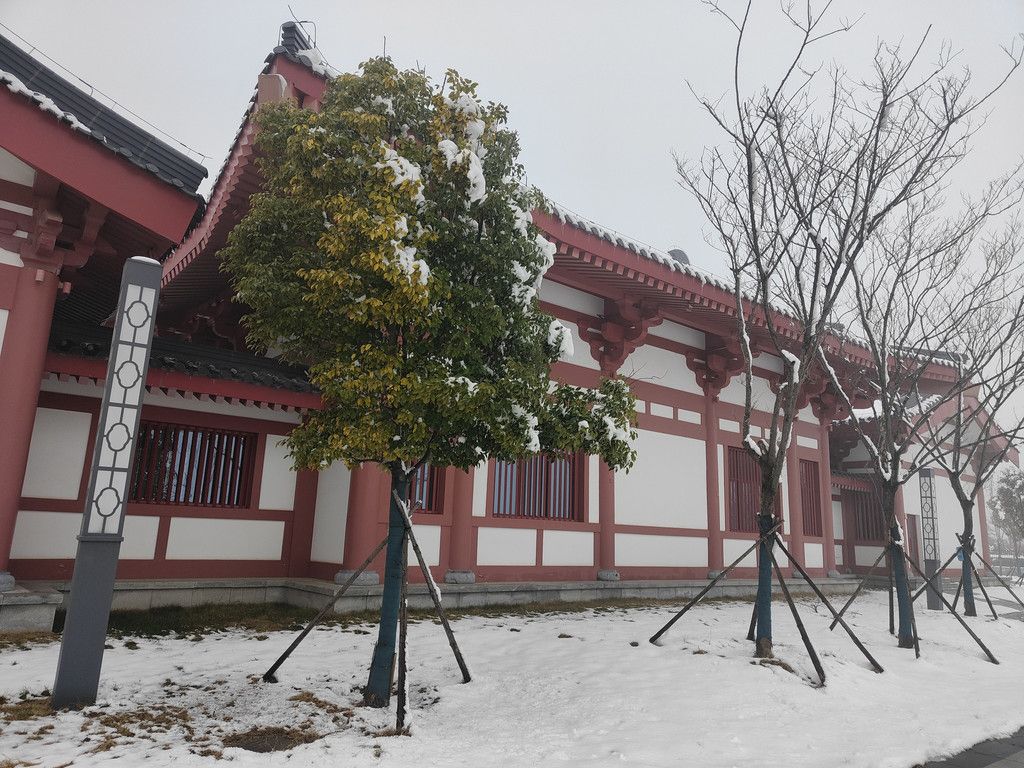 千年古都，百里牡丹——河南三月赏花盛景