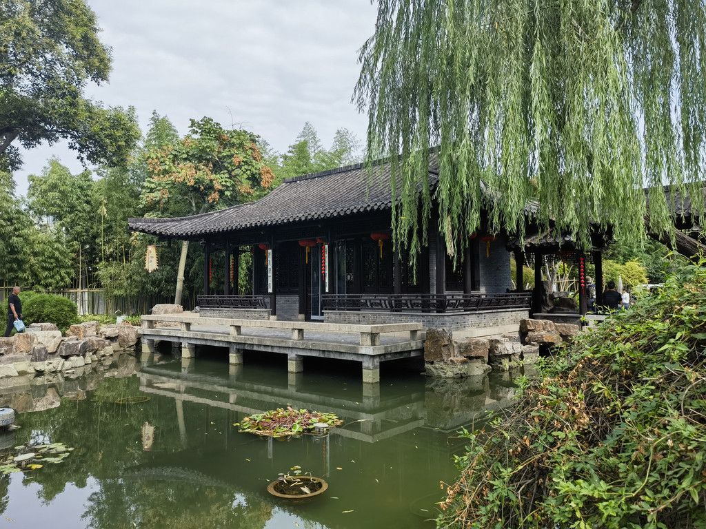 千里扬州千公里,飞飞鱼之旅的深度探索