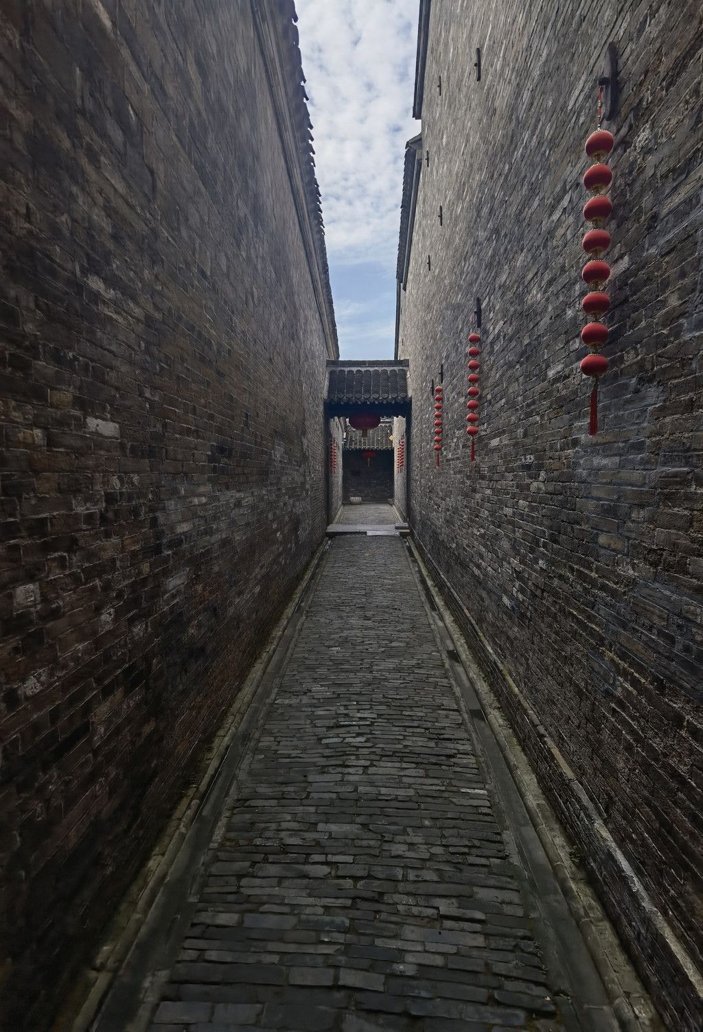 千里扬州千公里,飞飞鱼之旅的深度探索