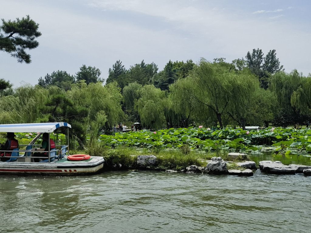 千里扬州千公里,飞飞鱼之旅的深度探索