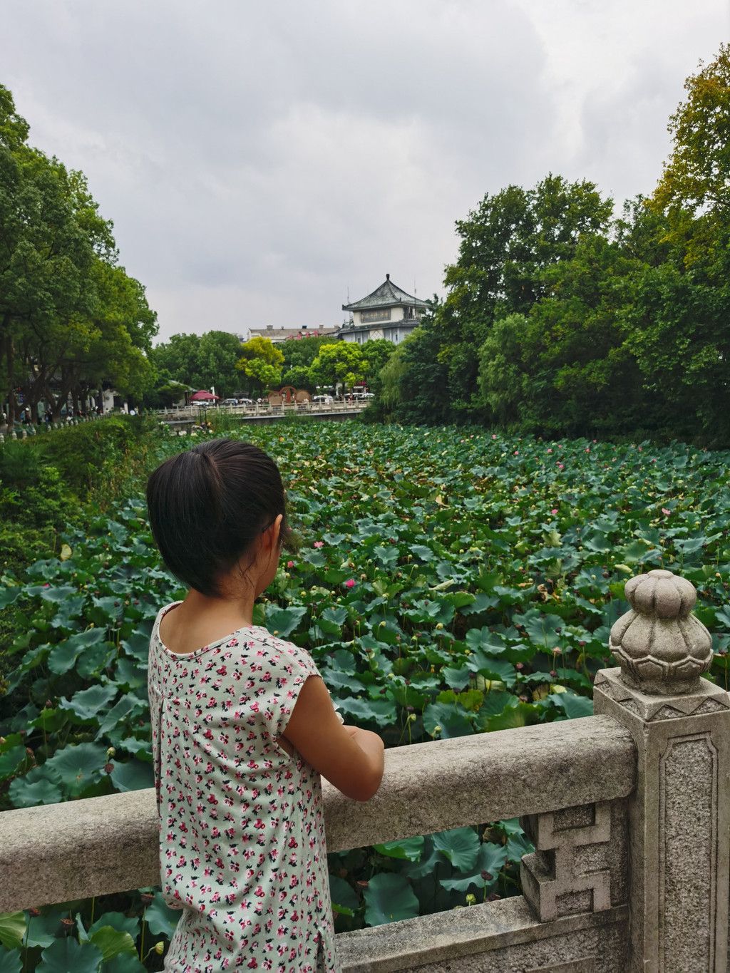 千里扬州千公里,飞飞鱼之旅的深度探索