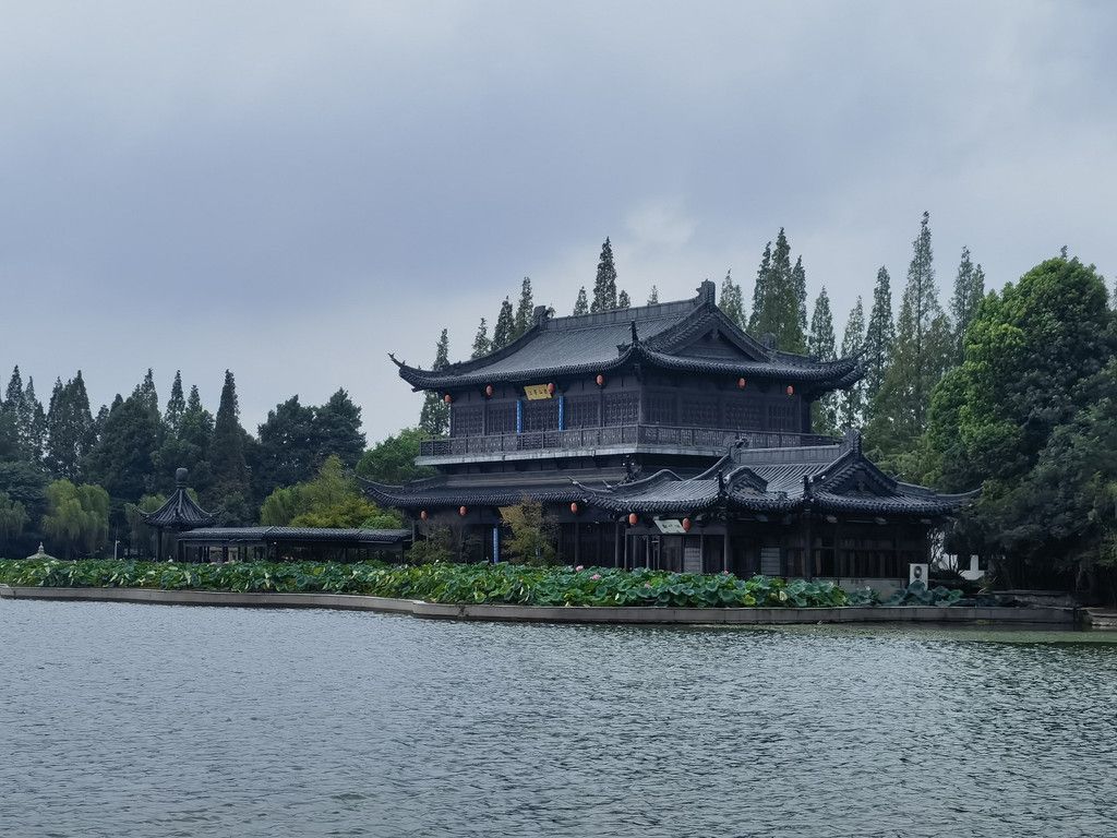 千里扬州千公里,飞飞鱼之旅的深度探索