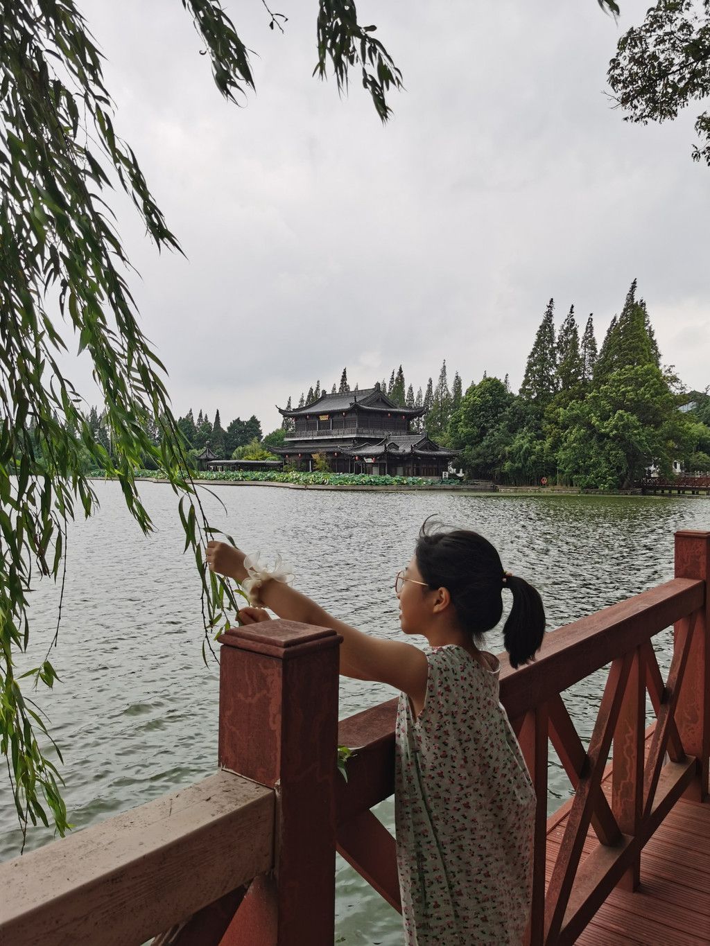 千里扬州千公里,飞飞鱼之旅的深度探索
