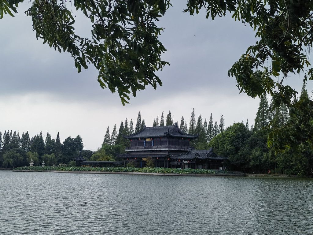 千里扬州千公里,飞飞鱼之旅的深度探索
