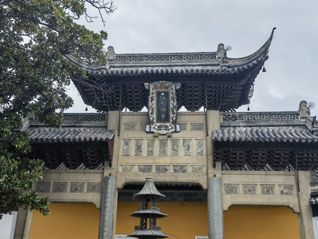 千里扬州千公里,飞飞鱼之旅的深度探索
