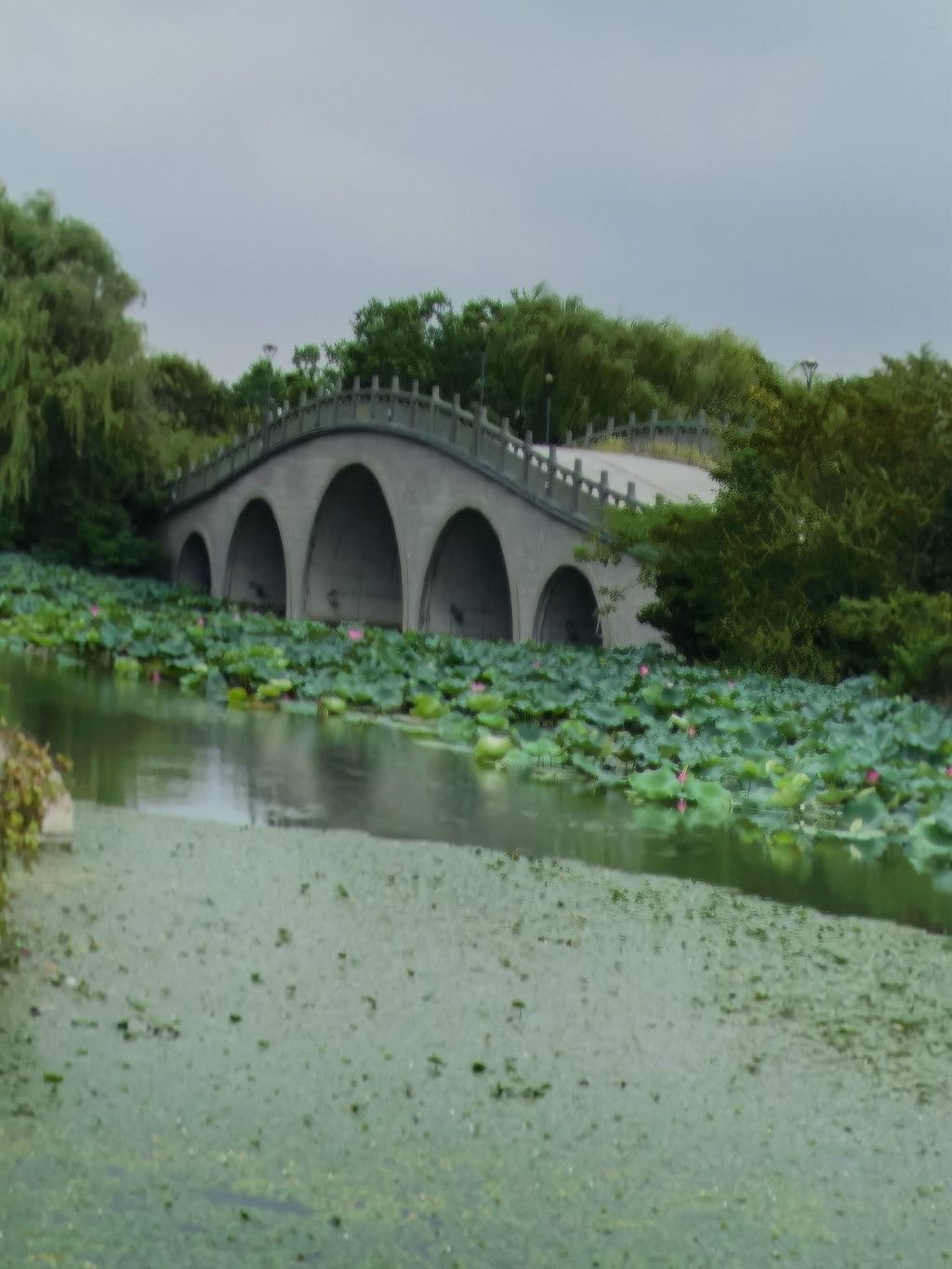 千里扬州千公里,飞飞鱼之旅的深度探索