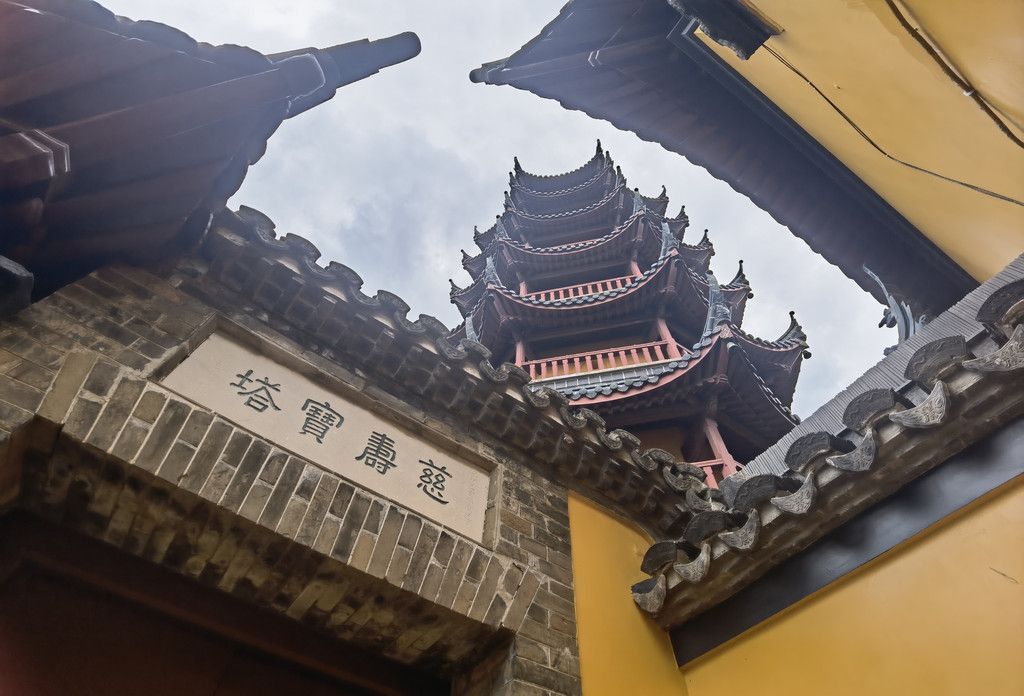 千里扬州千公里,飞飞鱼之旅的深度探索