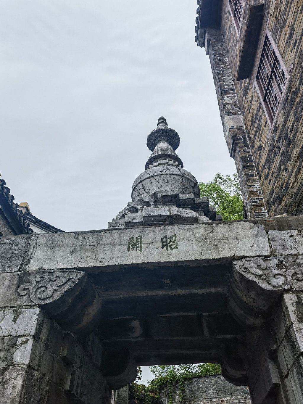 千里扬州千公里,飞飞鱼之旅的深度探索