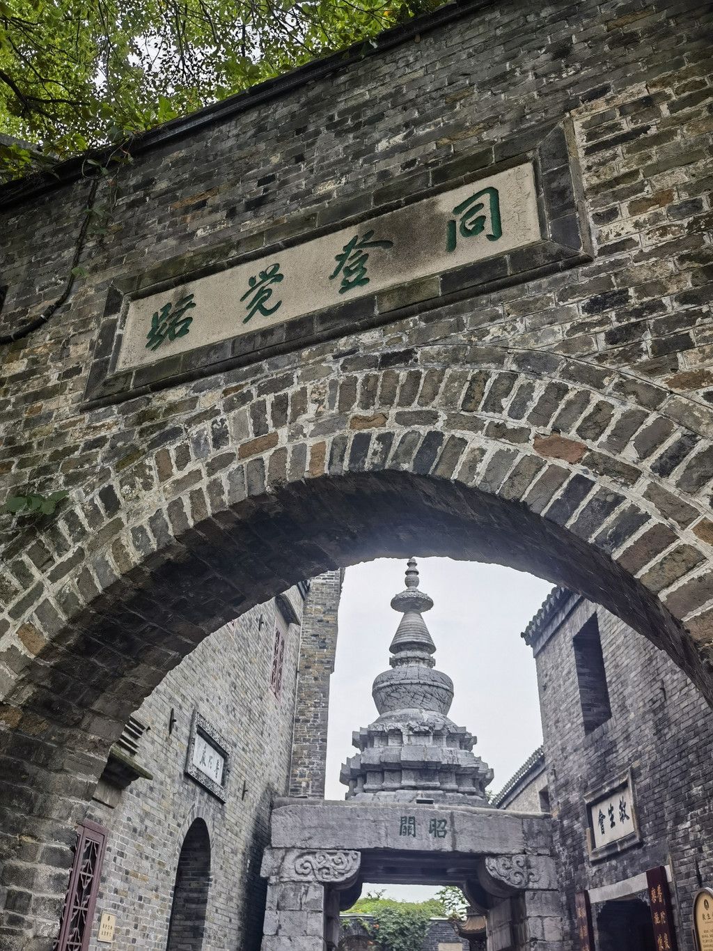 千里扬州千公里,飞飞鱼之旅的深度探索