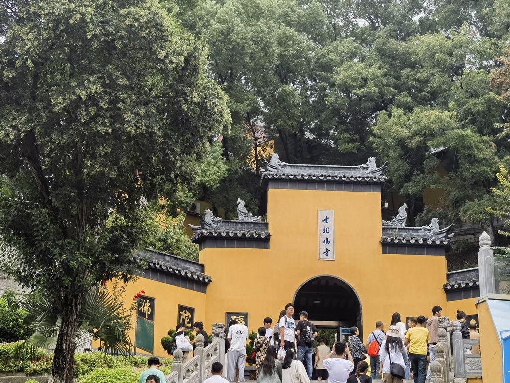 千里扬州千公里,飞飞鱼之旅的深度探索