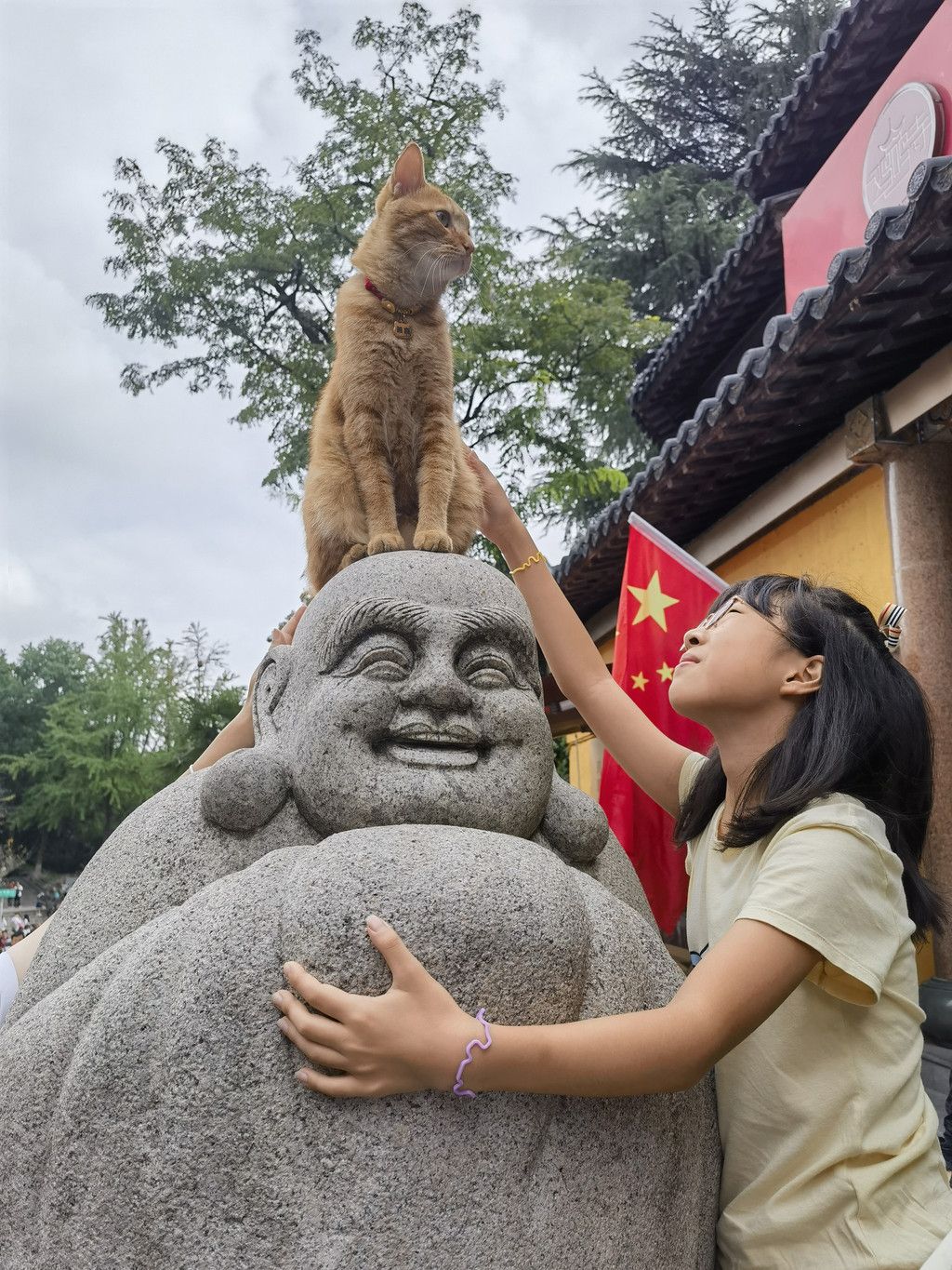千里扬州千公里,飞飞鱼之旅的深度探索