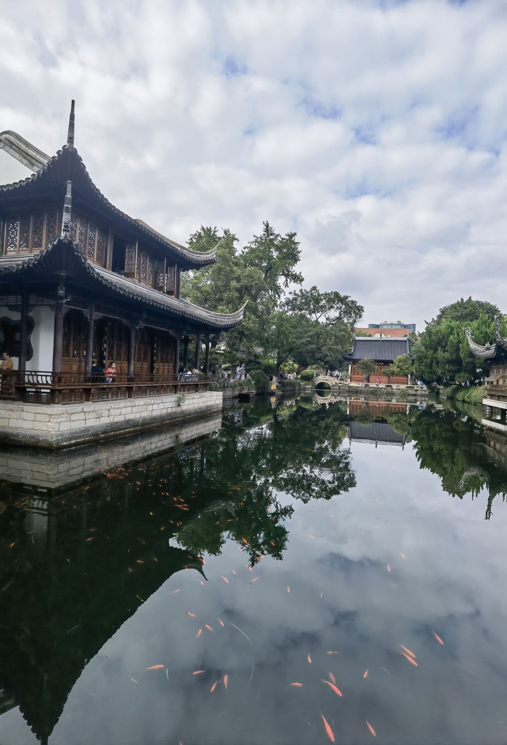 千里扬州千公里,飞飞鱼之旅的深度探索