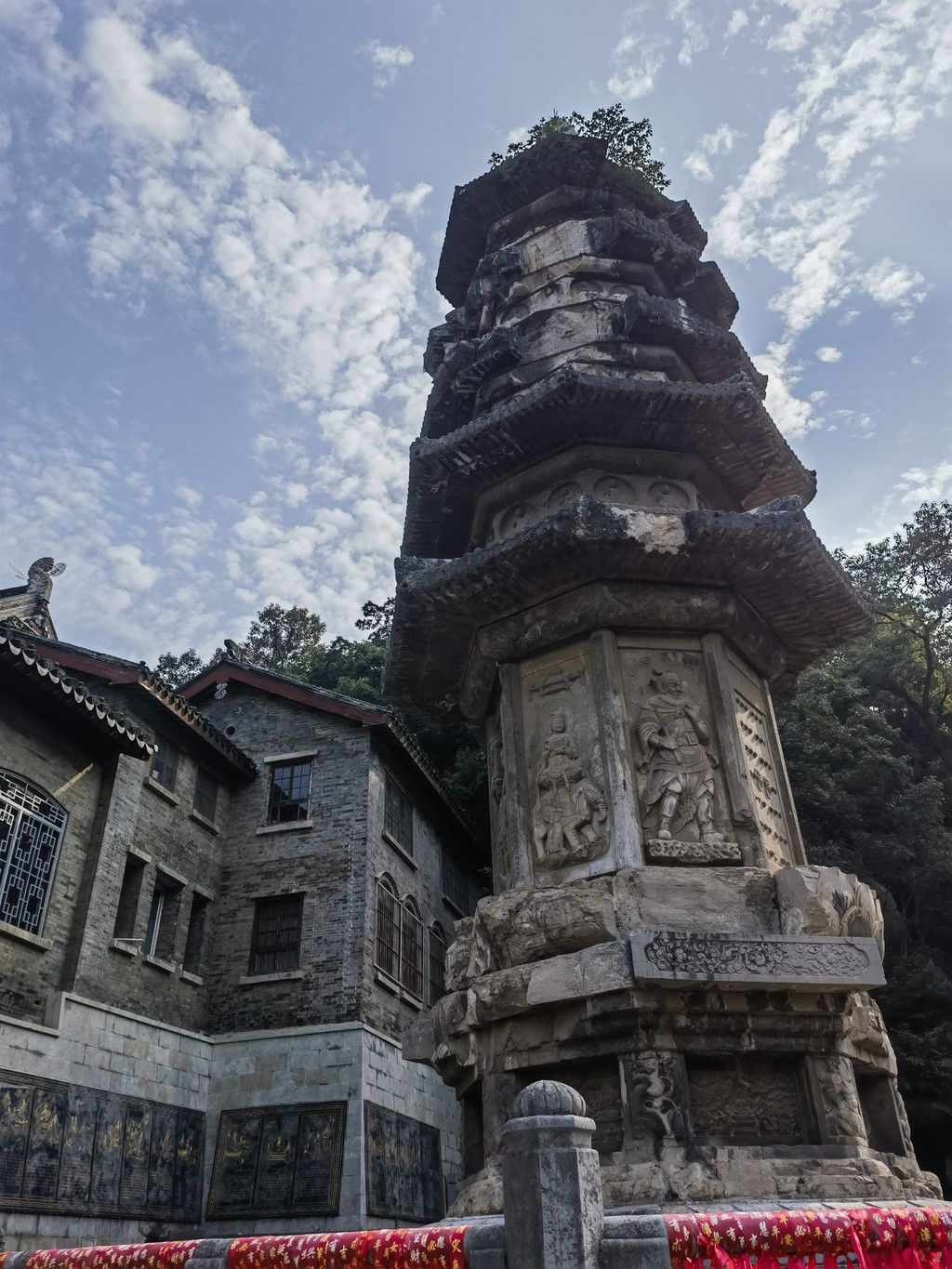 千里扬州千公里,飞飞鱼之旅的深度探索