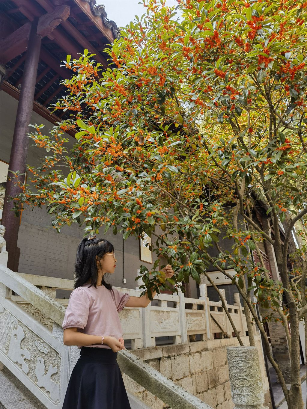 千里扬州千公里,飞飞鱼之旅的深度探索