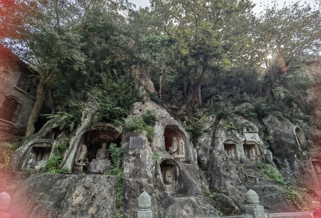 千里扬州千公里,飞飞鱼之旅的深度探索