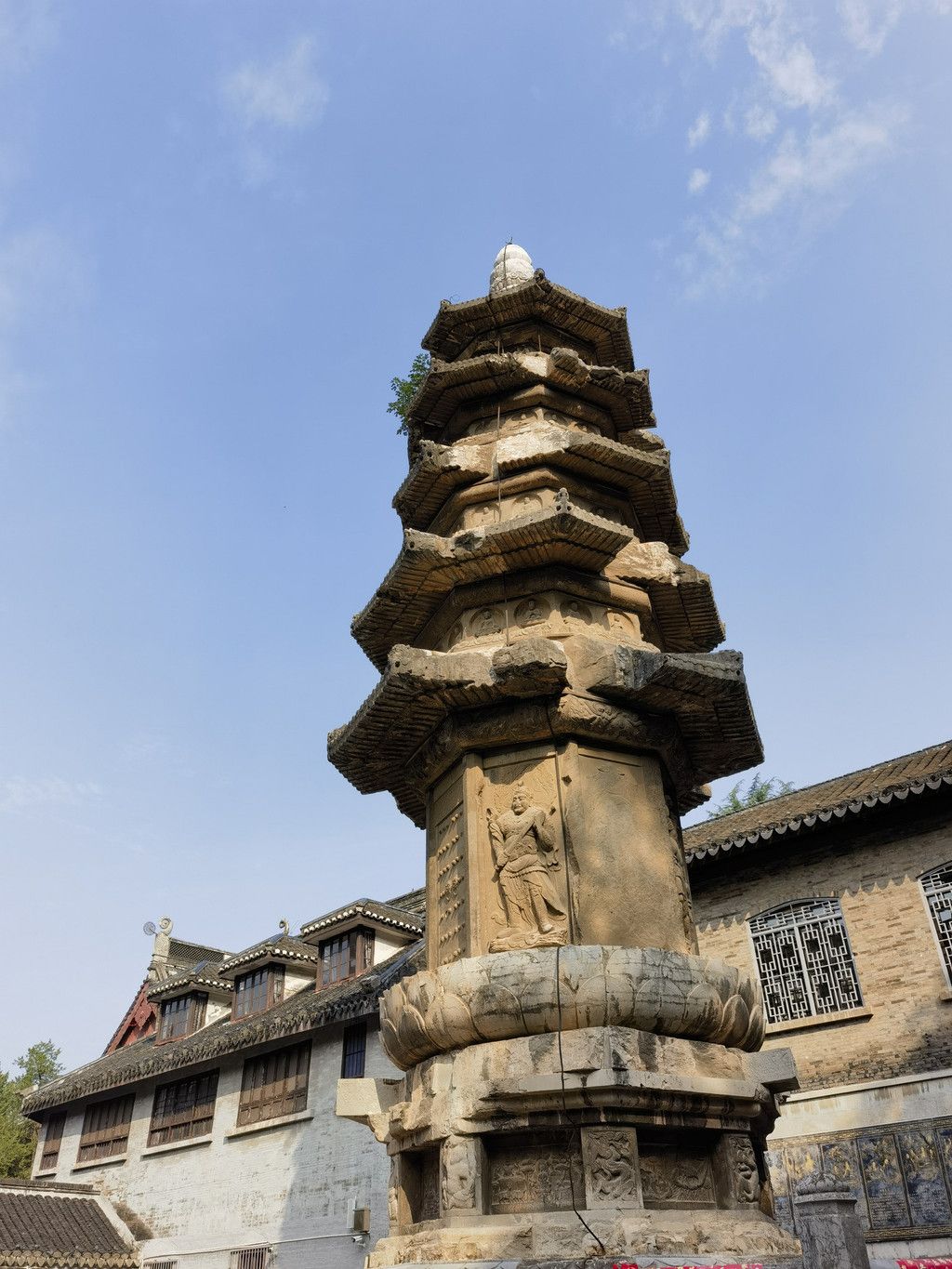 千里扬州千公里,飞飞鱼之旅的深度探索