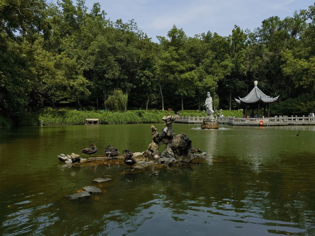 千里扬州千公里,飞飞鱼之旅的深度探索