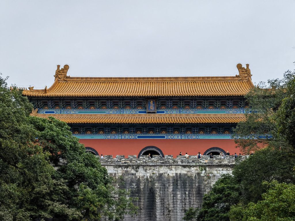 千里扬州千公里,飞飞鱼之旅的深度探索