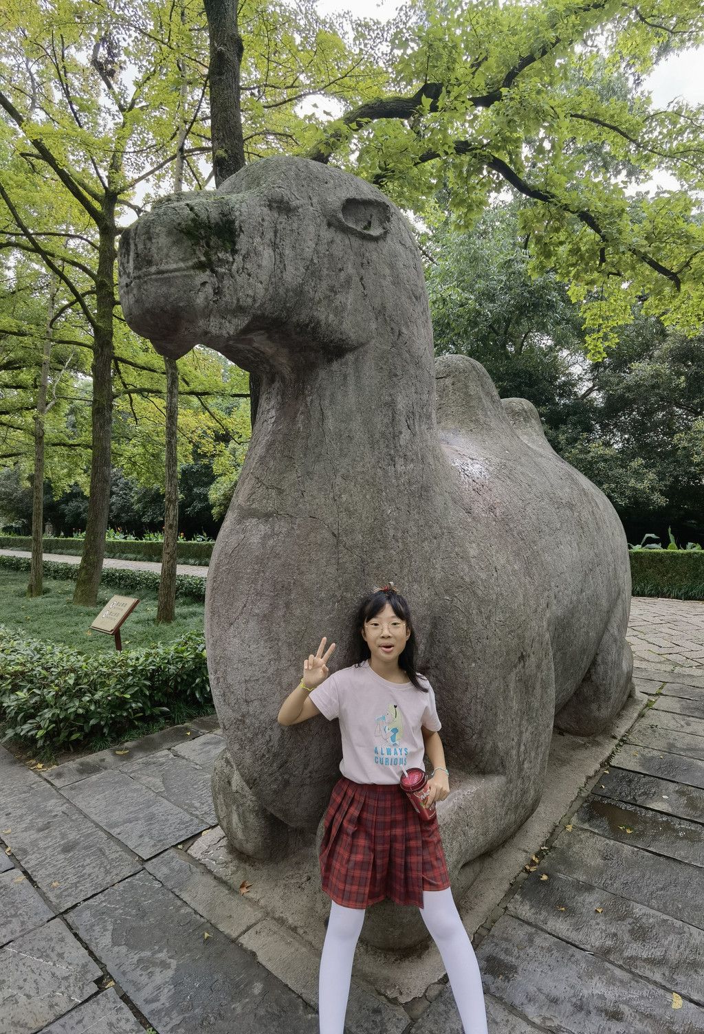千里扬州千公里,飞飞鱼之旅的深度探索