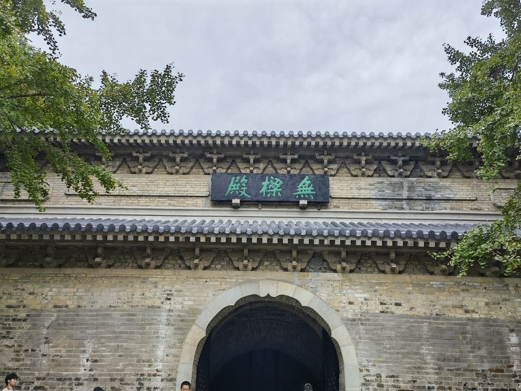 千里扬州千公里,飞飞鱼之旅的深度探索