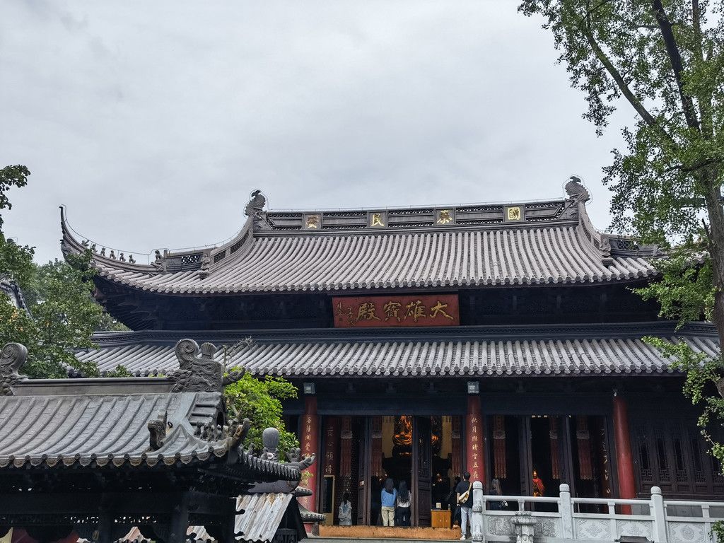 千里扬州千公里,飞飞鱼之旅的深度探索