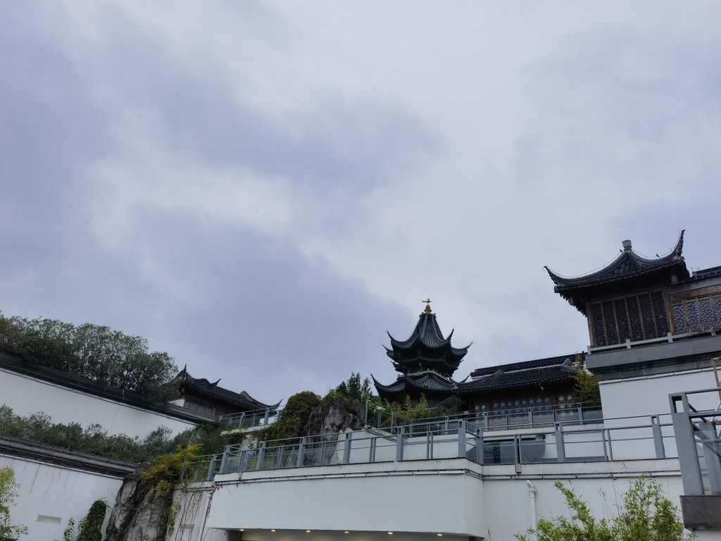 千里扬州千公里,飞飞鱼之旅的深度探索