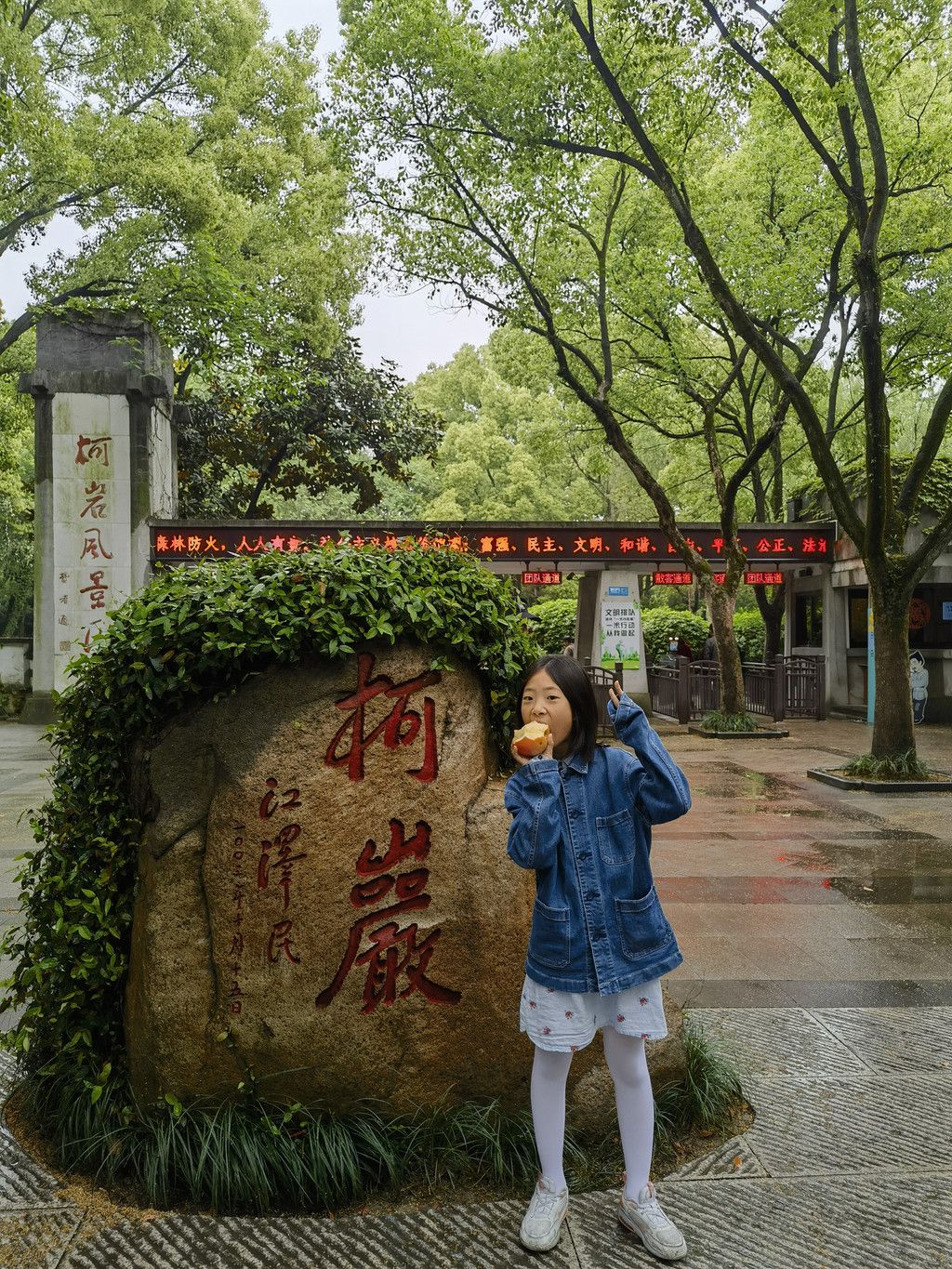 飞飞鱼的中国之旅，从西湖到乌镇的奇妙之旅