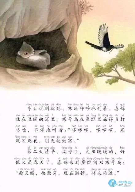 寒号鸟是不是鸟?