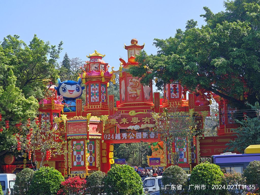 广州兰圃公园，美丽的兰花之美