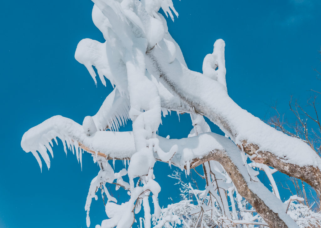 2024春节西藏羌族自治州雪域旅程,一次难忘的探险之旅