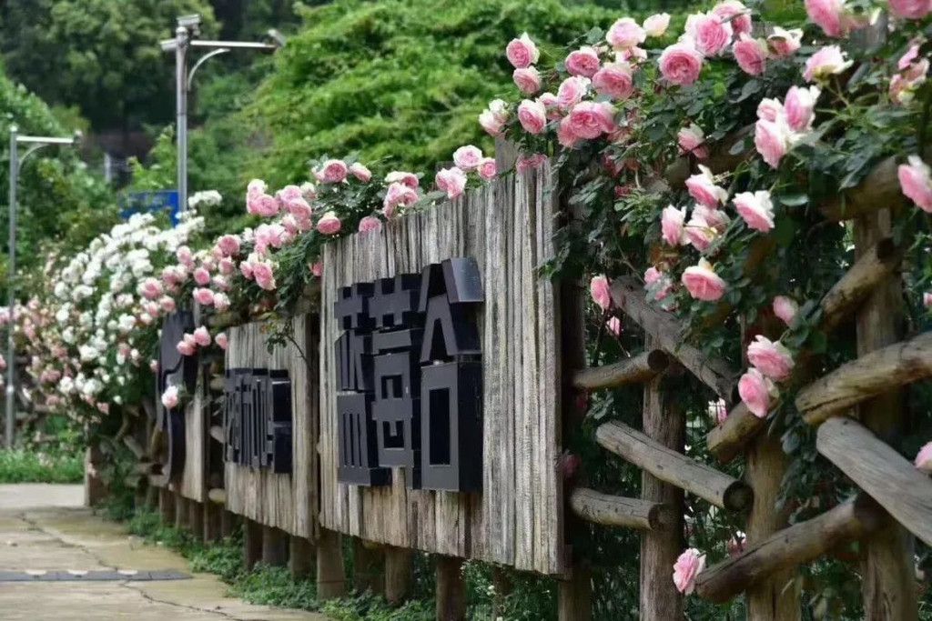 花涧和鸣，一站式农业综合园区的全貌介绍