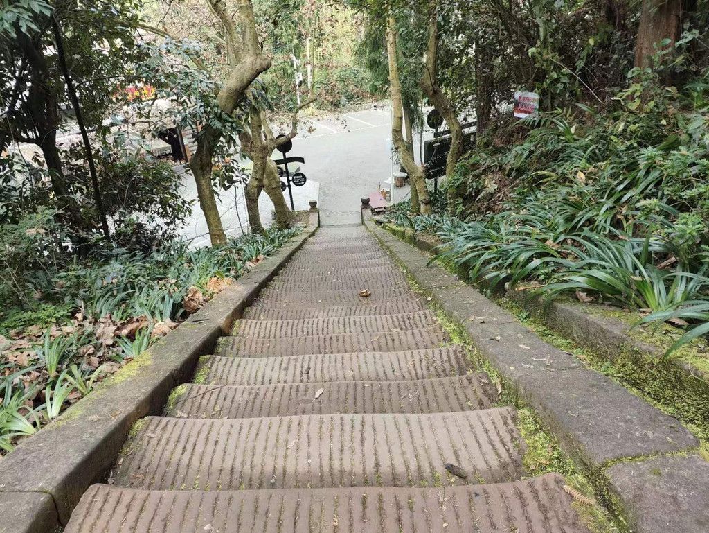 朝阳湖的清晨美景，一次宁静的视觉享受