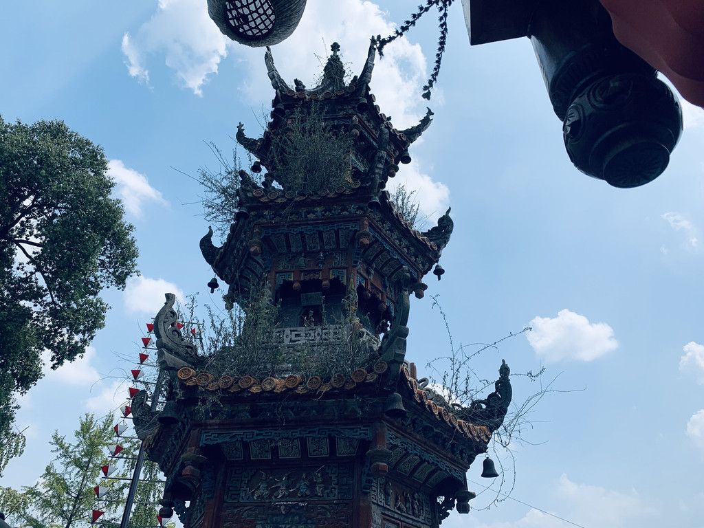 穿越历史的足迹，西来行踪