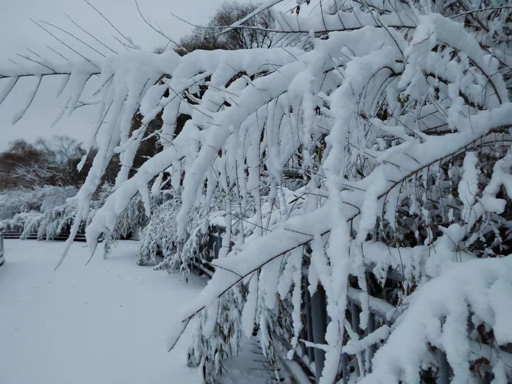 利津蓝海禧华，一场冰雪下的奢华之旅