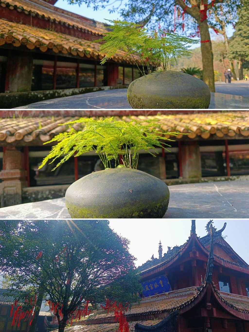 周末周末 荥经县云峰山徒步登山的游玩记录