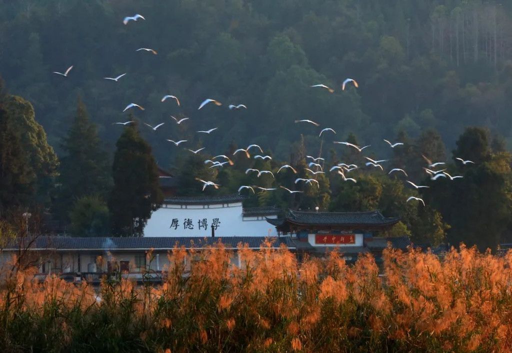 历史的印记，腾冲古村落探秘之旅