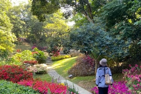 上海春天赏花攻略，四月赏花景点推荐