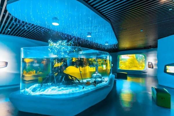 天津国家海洋博物馆怎么样去?天津国家海洋博物馆(中国馆)是经国务院批准设立的综合性博物馆。它的坐落在天津市和平区文化西路2号,地理位置优越,交通十分便利。以下是该博物馆的具体位置及周边环境,,天津国家海洋博物馆地址,天津市和平区文化西路2号,附近公共交通,,乘坐地铁3号线,在滨海国际机场站下车转乘公交车756路,在王顶庄站下车即可。,其他相关信息,,天津国家海洋博物馆是中国第一个大型现代化海洋博物馆,于2009年开放,致力于展示、普及海洋科学知识,培养公众对海洋的兴趣和认识。,希望这个信息能帮到