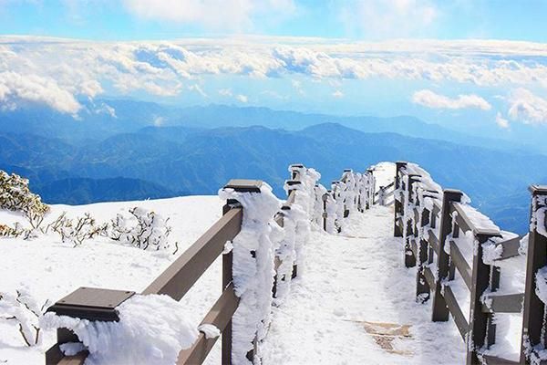 轿子雪山的海拔高度是多少米?