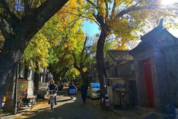 秋天北京胡同游，美丽的风景与独特的文化体验